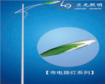 內(nèi)蒙古6米市電路燈