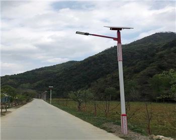 陜西新農(nóng)村太陽能路燈-陜西隴南路燈項目