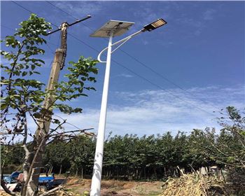 青海西安藍田縣竹峪鎮新農村太陽能路燈