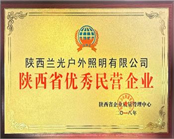 陜西省優秀民營企業